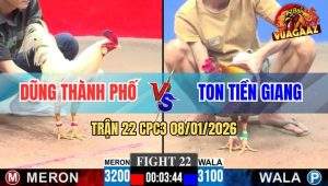 Trận 22 CPC3 8/1/2026 - Gà Xám Anh Ton Đá Gà Tai Biến, Lật Xe