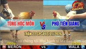 Trận 22 CPC4 12/1/2025 - Vàng Bông Hồi Mã Thương Đá Bướm Gục Đầu