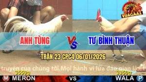 Trận 23 CPC4 6/1/2026 - Úa Mống Lá Anh Tư Bình Thuận Đâm Như Máy Sới