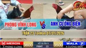 Trận 23 TonHon 7/1/2026 - Que Cọp Anh Phong Đâm Như Máy Điện