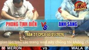 Trận 27 CPC4 14/1/2026 - Bướm Anh Sanh Đâm Phát Nào Tiền Về Phát Đó