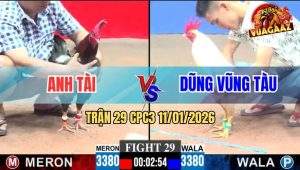 Trận 29 CPC3 11/1/2026 - Xám Anh Tài Đá Úa Phá Đôi Hết Thấy Đường Về