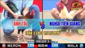 Trận 3 CPC3 11/1/2026 - Điều Nạp Liên Hoàn, Đối Thủ Té Ngửa Tại Chỗ