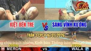 Trận 3 CPC4 16/1/2026 - Gà Cú Ra Chân Chí Tử Tiễn Chuối Về Với Ông Bà