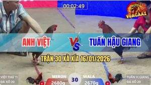 Trận 30 Xà Xía 16/1/2026 - Xanh Nạp Bo Khủng Về Bờ Tay Nước Đầu