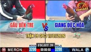 Trận 39 CPC3 11/1/2026 - Vô Bảng Gà Anh Gấu Bến Tre Bỏ Chạy Thoát Thân