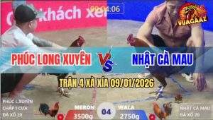 Trận 4 Xà Xía 9/1/2026 - Anh Kiểm Cà Mau Phục Thù Anh Phúc Kèo 1 Cựa