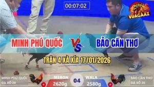 Trận 4 Xà Xía 17/1/2026 - Gà Điều Anh Bảo Đá 1 Hơi Que Nằm Thẳng Cẳng