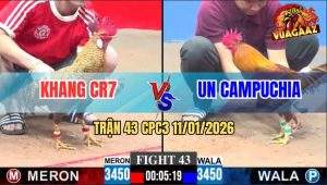 Trận 43 CPC3 11/1/2026 - Gà Khét Anh Un Đá Gãy Cổ Gà Cú Anh Khang