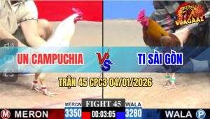 Trận 45 CPC3 4/1/2026 - Bướm Anh Un CPC Đá Gà Khét Chạy Không Kịp Thở
