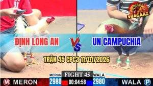 Trận 45 CPC3 11/1/2026 - Gà Úa Anh Đinh Đá Gà Que Không Bỏ Chân Nào