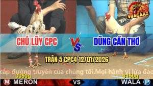 Trận 5 CPC4 12/1/2025 - Bướm Hiệu Chú Lũy Campuchia Thiếu May Mắn