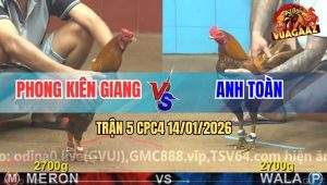 Trận 5 CPC4 14/1/2026 - Xám Mặt Râu Đá Lớp 1 Khét Phun Tương Hết Cứu