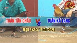 Trận 5 CPC4 17/1/2026 - Khét Cọp Anh Tuấn Xà Lang Đâm Như Phát Xít