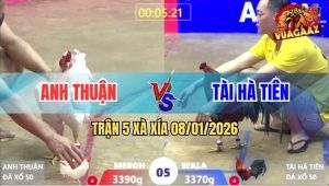 Trận 5 Xà Xía 8/1/2026 - Điều Anh Nu Có Chân Xạo Lờ Đâm Úa Nằm Đống