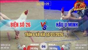 Trận 6 Xà Xía 14/1/2026 - Bướm Đỏ Gom Phiếu Bị Xanh Đá Nằm Xòe Đuôi