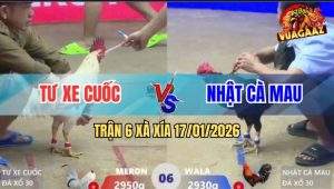 Trận 6 Xà Xía 17/1/2026 - Điều Xuyên Cây Nách, Bướm Gục Ngã Tại Chỗ