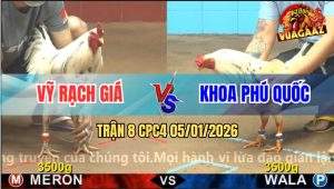 Trận 8 CPC4 5/1/2026 - Bướm Anh Vỹ Đâm Quẹo Cổ Bướm Anh Khoa