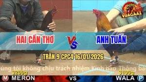 Trận 9 CPC4 16/1/2026 - Gà Điều Đá Ô Ướt Anh Hai Dỡ Giò Không Nổi