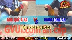 Trận 9 CPC5 9/1/2026 - Điều May Độ Phản Cây Lưng Khét Nằm Thẳng Cẳng