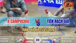 Trận 9 Xà Xía 11/1/2026 - Anh Kiểm Thả Xanh Ăn Độ 100 Trong 1 Nốt Nhạc