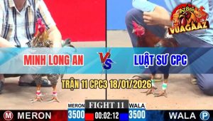 Trận 11 CPC3 18/01/2026