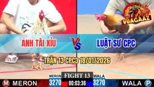 Trận 13 CPC3 18/01/2026