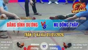 Trận 17 Xà Xía 01/01/2026