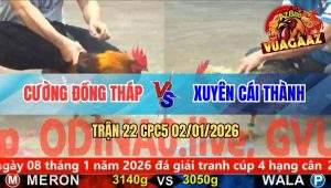 Trận 22 CPC5 02/01/2026