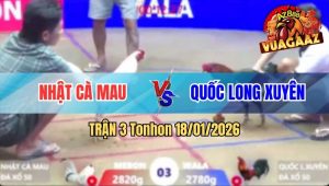 Trận 3 Tonhon 18/01/2026