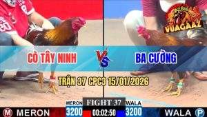 Trận 37 CPC3 15/01/2026