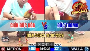 Trận 4 CPC3 18/01/2026