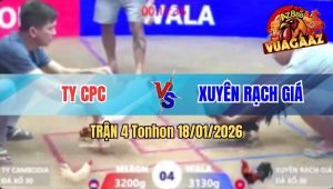 Trận 4 Tonhon 18/01/2026