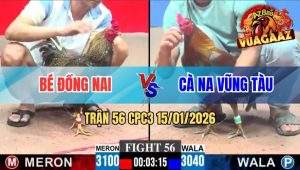 Trận 56 CPC3 15/01/2026