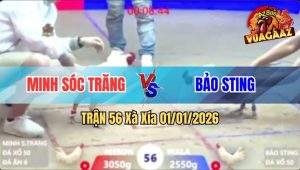 Trận 56 Xà Xía 01/01/2026