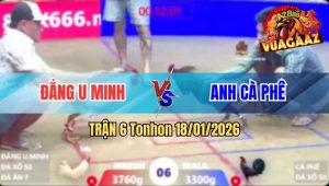 Trận 6 Tonhon 18/01/2026