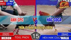 Trận 15 Dinh Bà 03/01/2026