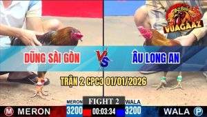 Trận 2 CPC3 01/01/2026