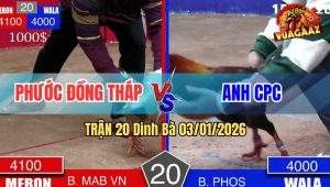 Trận 20 Dinh Bà 03/01/2026