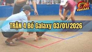 Trận 4 Galaxy 03/01/2026