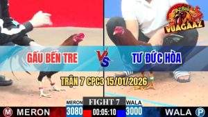 Trận 7 CPC3 15/01/2026