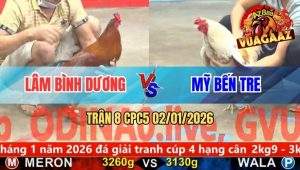 Trận 8 CPC5 02/01/2026