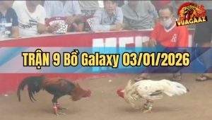 Trận 9 Galaxy 03/01/2026